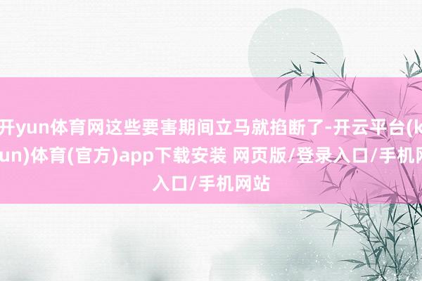 开yun体育网这些要害期间立马就掐断了-开云平台(kaiyun)体育(官方)app下载安装 网页版/登录入口/手机网站