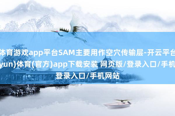 体育游戏app平台SAM主要用作空穴传输层-开云平台(kaiyun)体育(官方)app下载安装 网页版/登录入口/手机网站
