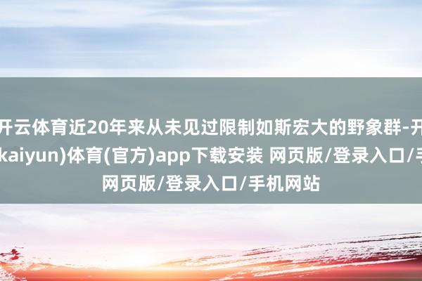 开云体育近20年来从未见过限制如斯宏大的野象群-开云平台(kaiyun)体育(官方)app下载安装 网页版/登录入口/手机网站